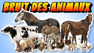 APPRENDRE le  bruit des ANIMAUX  de la ferme Pour BÉBÉ [upl. by Freddi529]