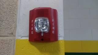 System Sensor P2R SpectrAlert Advance Fire Alarm [upl. by Suoirtemed]