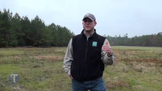 Wild Turkey Release in East Texas [upl. by Enelime]