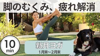 【1月 2月 水瓶座新月ヨガ】脚のむくみ、疲れ解消ヨガ  Wellness To Go by Arisa [upl. by Atinnek]