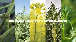 Advanced Weed Control Information  BASF [upl. by Ellinej456]