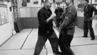 Ninjutsu Dr Kacem Zoughari  Naname Take Ori 斜め竹折 [upl. by Yvehc88]