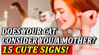 Does your cat consider you a mother 15 cute signs [upl. by Nrojb]