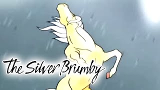 The Silver Brumby  Foals in Trouble HD  Full Episode  Cartoons For Kids [upl. by Geraldine]