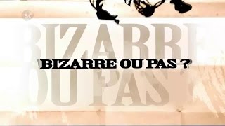 Bizarre ou pas  Saison 2 Épisode 1 Rencontres du troisième type [upl. by Barren474]