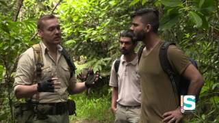 Aventura Científica  Vereda Pico El Toro del Yunque  seg 2 [upl. by Anailuj]