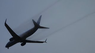 SeaTac Fog Aviation Wingtip vortices [upl. by Adnoval79]