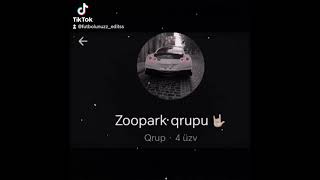 Zoopark qrupu 🤟😎 [upl. by Lallage]