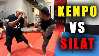 Kenpo Meets Silat  Real World SelfDefense Insights [upl. by Scuram150]