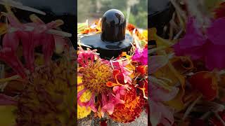 Mai bhole parvat ka mahadev shorts status 10 K love song music [upl. by Alaek]