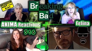 Breaking Bad 5x16  Felina  AKIMA Reactions [upl. by Neladgam]