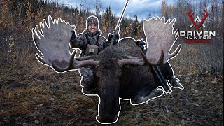 ALL ABOUT MOOSE HUNTING  Driven Hunter Podcast [upl. by Ariella]