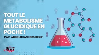 Biochimie TOUT LE METABOLISME GLUCIDIQUE EN POCHE Par Abdelghani boukellif [upl. by Ilario]