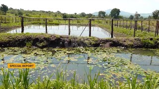 The refugee ghost project  IGG investigates DRDIP fish project mismanagement at Gulu University [upl. by Kcirtap]