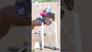 Troy jumped his heart out for me horse horselover horsegirl pony showjumping horseriding [upl. by Anthony]