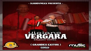 🥵 GRANDES EXITOS🔥 ULPIANO VERGARA MIX  DJANDYMIXX ❌️ ULTRAMIXPTYmixdetipico 2024 [upl. by Tania355]