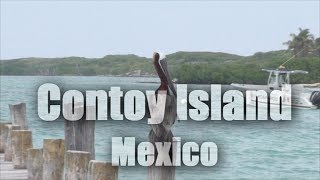 Contoy Island Isla Contoy Mexico HD [upl. by Eiuol]