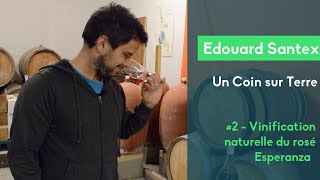 Edouard Santex  Un Coin sur Terre  2 La vinification de lEsperanza rosé [upl. by Joellyn]