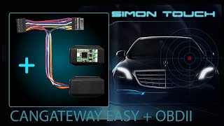 How To Install Mercedes S Class 222 FBS4 Can Gateway Easy  OBD [upl. by Aenej218]