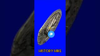 The Origin of the Calendar You Use Todayhistory youtubeshorts historyfacts shorts india [upl. by Jeffrey]