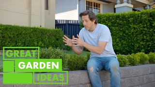 Everything to Know About Planting a Hedge  GARDEN  Great Home Ideas [upl. by Orazal369]