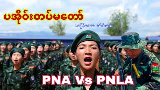 Pa O Army 🚩ပအို၀့်တပ်မတော်နှင့် ပအို၀်းဒေသ စစ်မီးများ [upl. by Sproul]