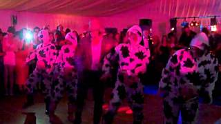 Duchy College Summer Ball 2011 Cow Dance [upl. by Allehcim]