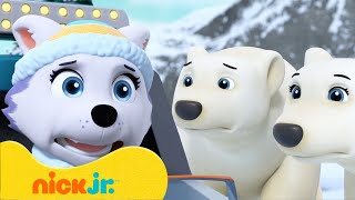 The Pups Save a Polar Bear Cub ❄️  PAW Patrol  Nick Jr UK [upl. by Olympe]