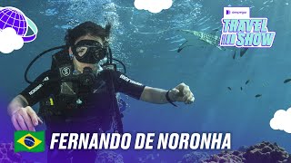 ¿Qué hacer en Fernando de Noronha 🇧🇷 [upl. by Eenej]