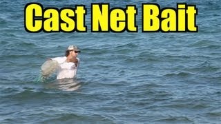 Cast Netting Bait at the Beach Throwing 7 foot Cast Net [upl. by Apollo]