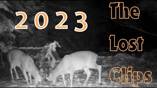 Recovered Clips from 2023 Idaho TrailCam Compilation [upl. by Dinin]