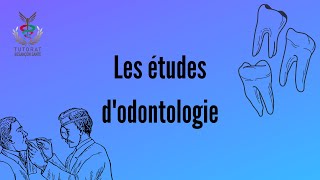 LES ETUDES DODONTOLOGIE  TUTORIENTES [upl. by Waldner]