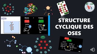 📌Glucides La Structure cyclique des oses  Structure de HAWORTH [upl. by Catharina591]