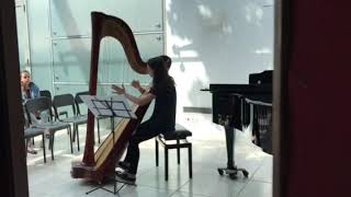 Nocturne by Alphonse Hasselmans Harp solo [upl. by Ilrac]