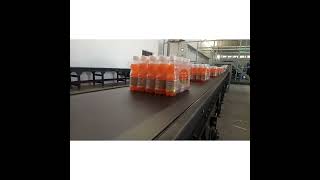 IMPEL Intralogistic  Smart Conveyor System [upl. by Paza726]