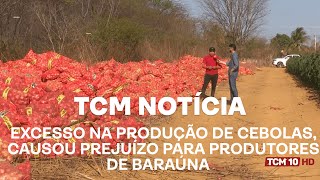 TCM Notícia  Excesso na produção de cebolas causou prejuízo para produtores de Baraúna [upl. by Ilajna948]