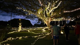 Christmas in the Park Lili’uokalani Gardens Hilo Hawai’i Big Island [upl. by Bremble]