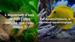 Aquariophilie  Leau de mer plus difficile que leau douce [upl. by Ithnan261]