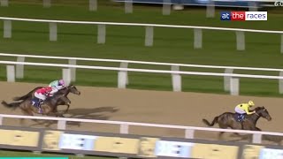 IMPRESSIVE Inisherin looks smart as he bolts up at Newcastle [upl. by Belter]