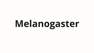 How to pronounce Melanogaster [upl. by Eikcir329]