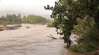 El río turia en pedralba después del desastre 30 de octubre 2024 [upl. by Dirgis302]