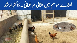 Winter Care and Management of Poultry Birds  Winter Chickens  Dr ARSHAD [upl. by Doley]