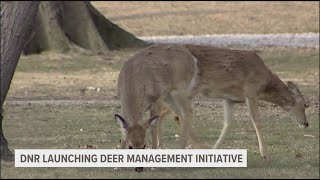 DNR launching deer management initiative [upl. by Alaecim]