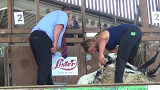 NFYFCs Sheep Shearing competition 2018 [upl. by Yerhcaz113]