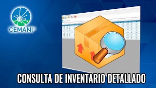 Consulta de Inventario Detallado [upl. by Stewart]