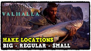 Assassins Creed Valhalla Hake Fish Locations Big  Regular  Small [upl. by Pazice]