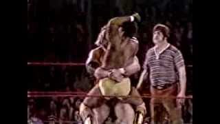 Dizzy Hogan Brutus Beefcake v King Parsons [upl. by Bentley]