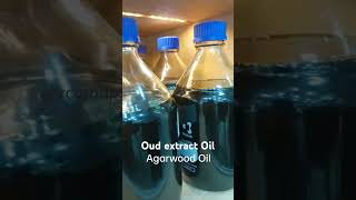 Pure Agarwood Oud Extract oil indonesian indian Cambodian Trat Malaysian Oud agarwood aprc [upl. by Bettina]