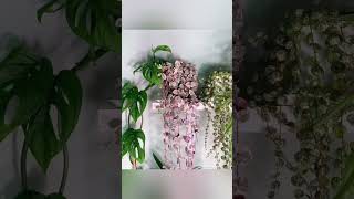 🌿 Transforme o seu espaço com a magia das plantas penduradas 🌿 [upl. by Byler]