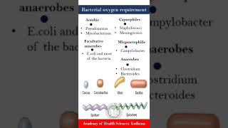 Bacteria on the basis of oxygen requirements  Microbiology  By Imran Yaseen [upl. by Greggory544]